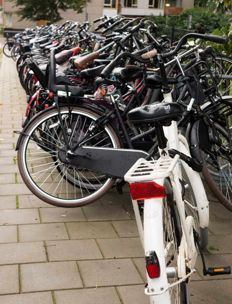 Bicycles galore